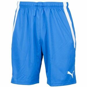 Puma TEAM LIGA SHORTS Șort bărbătesc, albastru, mărime imagine