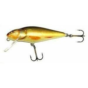 Vobler Salmo Perch PH8DR RR plutitor 8 cm/14 gr imagine