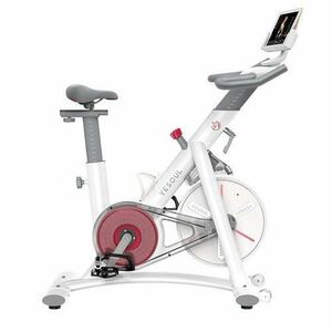 Bicicleta fitness YESOUL Spinning Bike S3 (Alb) imagine