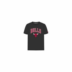 NBA CHICAGO BULLS TEE BLKFDR imagine