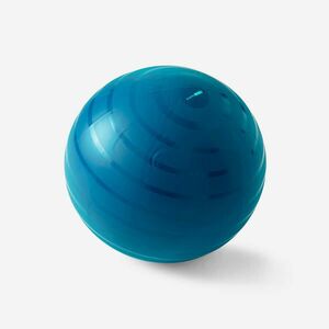 Minge Fitness SWISS Gym ball Mărimea 2 / M (65 cm) Albastru imagine