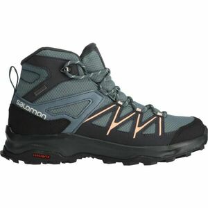 Salomon DAINTREE MID GTX W Încălțăminte drumeții femei, gri, mărime 38 imagine