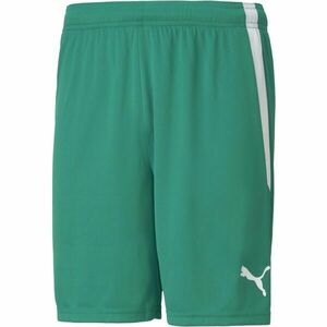 Puma TEAM LIGA SHORTS Șort bărbătesc, verde, mărime imagine