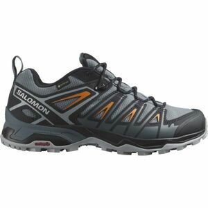 Salomon X ULTRA PIONEER GTX Încălțăminte turism bărbați, gri, mărime 41 1/3 imagine