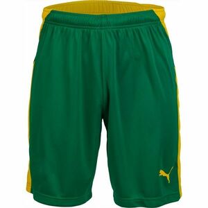 Puma Pantaloni scurți de fotbal bărbați Pantaloni scurți de fotbal bărbați, verde imagine