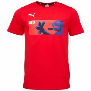 Puma TEAMGOAL 23 CASUALS TEE Tricou de bărbați, roșu, mărime imagine