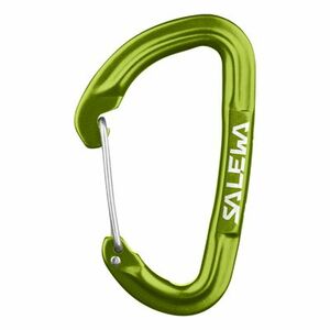 Salewa Carabiner Hot G3 verde imagine