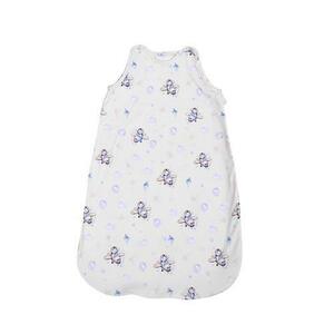 Sac de dormit toamna/iarna pentru copii Lorelli Blue Aeroplane, inaltimea maxima de 95 cm imagine