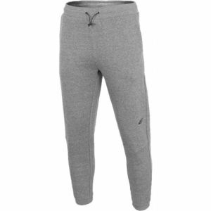 4F Pantaloni de trening pentru bărbați Pantaloni de trening pentru bărbați, gri imagine