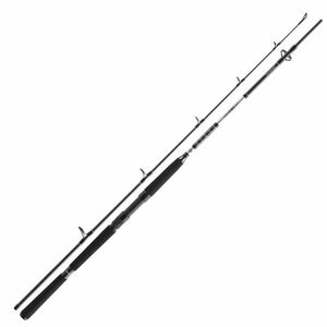 Lanseta Daiwa BG Offshore Pilk, 2.40m, 40-125g, 2 tronsoane imagine