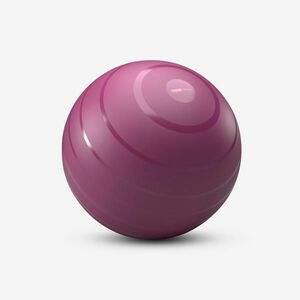 Minge Fitness SWISS Gym ball Mărimea 1 / S (55 cm) Roz imagine