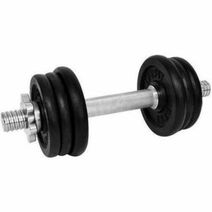 Gantera Lifefit 529FCIN093, 9kg, set 6 discuri imagine