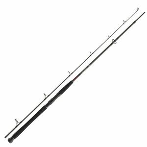 Lanseta Daiwa Exceler Catfish Spin, 2.40m, 135g, 2 tronsoane imagine