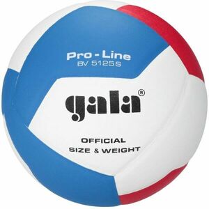 GALA BV5125 PRO-LINE 12 Minge de volei, alb, mărime imagine