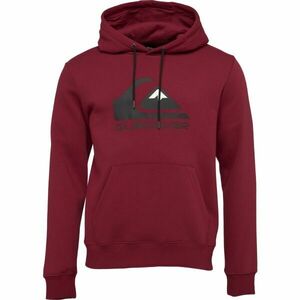 Big Logo Hoodie imagine