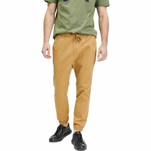 GAP V-ESSENTIAL JOGGER Pantaloni bărbați, galben, mărime imagine