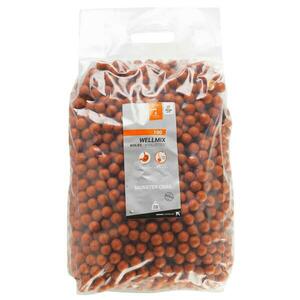 Boilies Wellmix 20mm 10kg Monster Crab Pescuit la Crap imagine