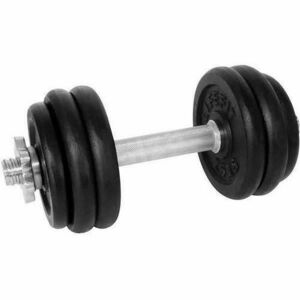 Gantera reglabila Lifefit 529FCIN153, 15kg, set 6 discuri imagine