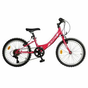 MTB Princess 20" imagine