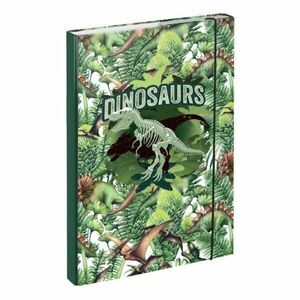 BAAGL DINOSAURS Dosare pentru caiete școlare A4, verde, mărime imagine