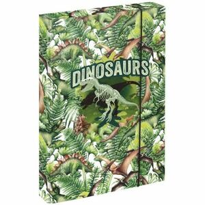 BAAGL JUMBO DINOSAURS Dosare pentru caiete școlare A4, verde, mărime imagine