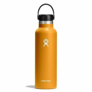 Sticlă termică Hydro Flask 21 OZ Standard Flex Cap 621ml, fossil imagine