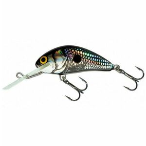Vobler Salmo Hornet H2S BSS, 2.5cm, 1.5 g imagine