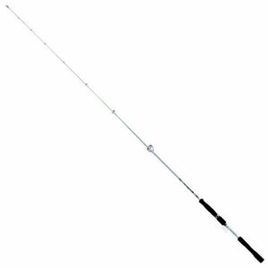 Lanseta Sea Patrol 2.20m 5-30g 1+1buc Rapture imagine
