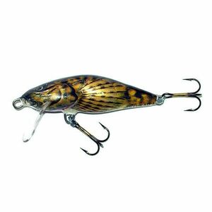 Vobler Salmo Bullhead BD4F BD 4, 5 cm/3 gr imagine