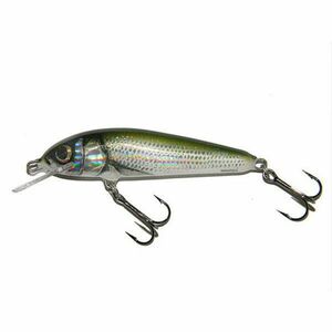 Vobler Salmo Minnow M6S HBL scufundator 6 cm/6 gr imagine