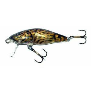 Vobler Salmo Bullhead BD6F, culoare BD, 6cm, 6g imagine