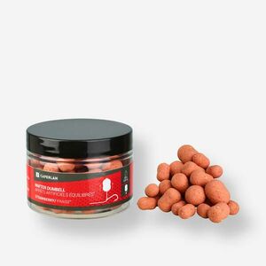 Boilies Dumbel wafter Strawberries pescuit la crap imagine