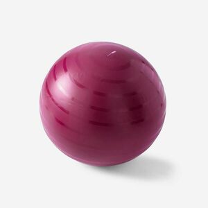 Minge Fitness SWISS Gym ball Mărimea 1 / L (55 cm) Roz imagine