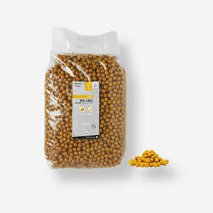 Boilies Pescuit la Crap Wellmix 14mm Scopex 10kg imagine
