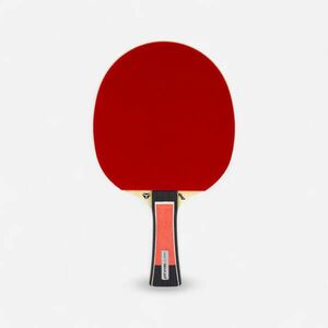 Paletă Tenis de Masă Club Lebrun Pro X 5* ITTF imagine