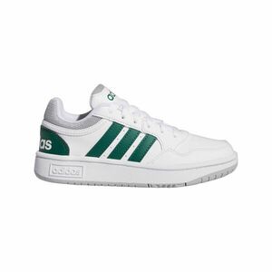 Hoops 3.0 imagine