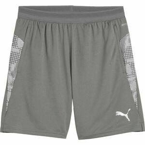 Puma TEAMCUP TRAINING SHORTS Pantaloni scurți bărbați, gri, mărime imagine