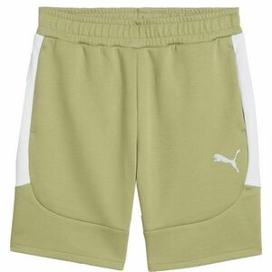 Puma TEAMEVOSTRIPESHORTS Șort pentru bărbați, kaki, mărime imagine