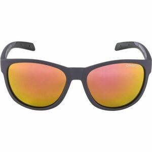 Alpina Sports NACAN II Ochelari de soare unisex, gri închis, mărime imagine