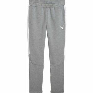 Puma TEAMEVOSTRIPE PANTS Pantaloni trening bărbați, gri, mărime imagine