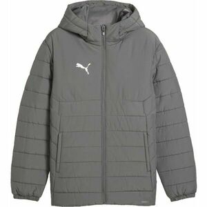 Puma TEAMADDITIONS HOODED PADDED JACKET Geacă pentru bărbați, gri, mărime imagine