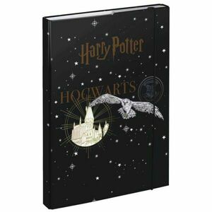 BAAGL HARRY POTTER BRADAVICE ERB Dosare pentru caiete școlare A4, negru, mărime imagine
