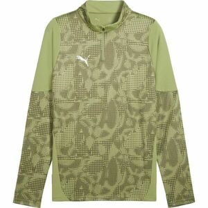 Puma TEAMCUP TRAINING 1/4 ZIP TOP Hanorac bărbați, verde, mărime imagine