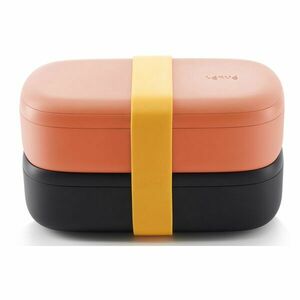 Lékué LUNCHBOX TO GO 1000 ML Cutie pentru prânz, somon, mărime imagine