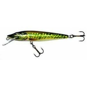 Vobler Salmo Pike PE9SDR PE plutitor 9 cm/10 gr imagine