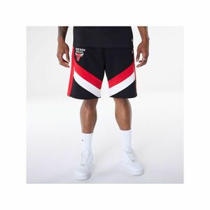 Chicago Bulls imagine