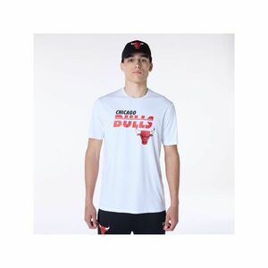 Chicago Bulls Essentials imagine