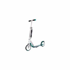 BigWheel imagine