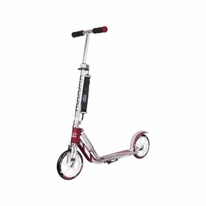 BigWheel imagine