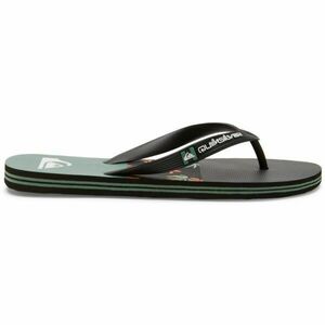 Quiksilver MOLOKAI STRIPE Șlapi pentru bărbați, negru, mărime 39 imagine